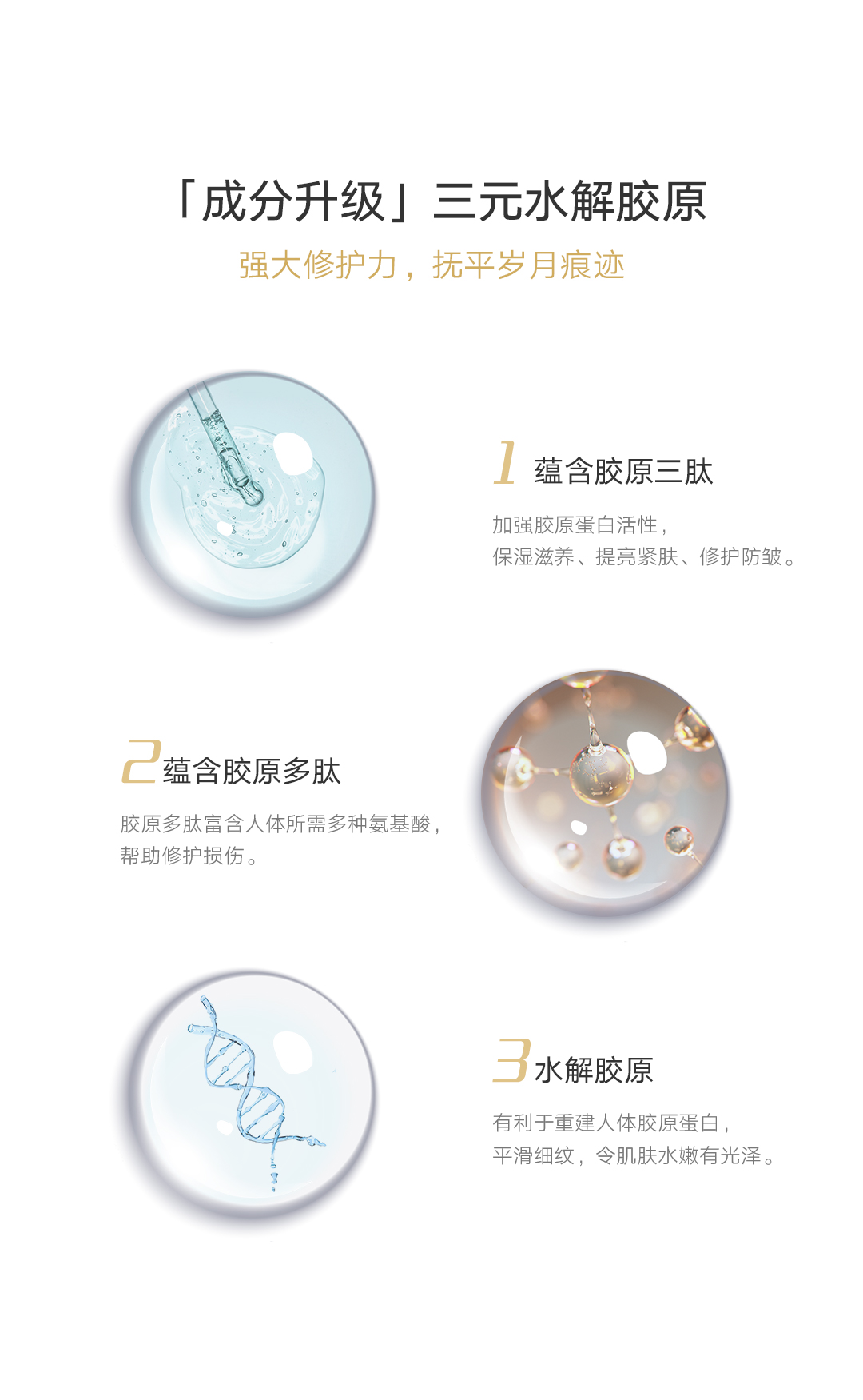 多效修复冻干粉价格、作用、功效等详情图7
